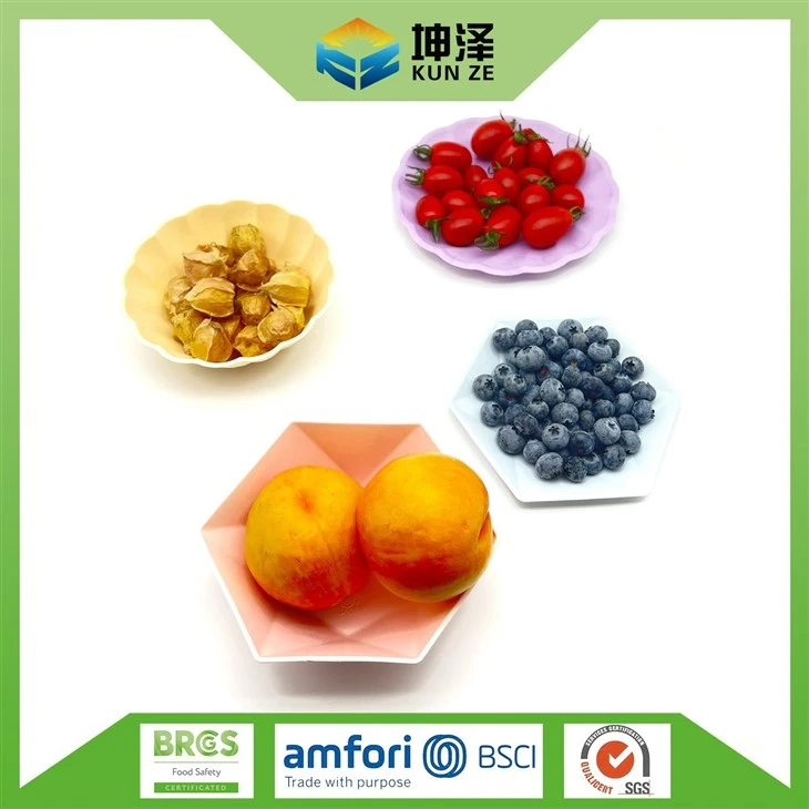 Colorful Party Plates