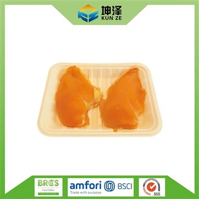 Nampan Biodegradable untuk Makanan
