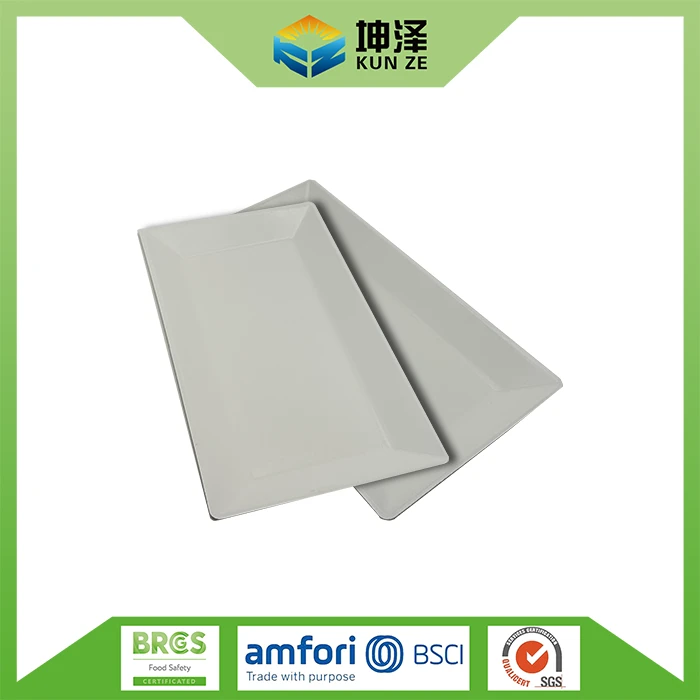White Rectangular Paper Plate