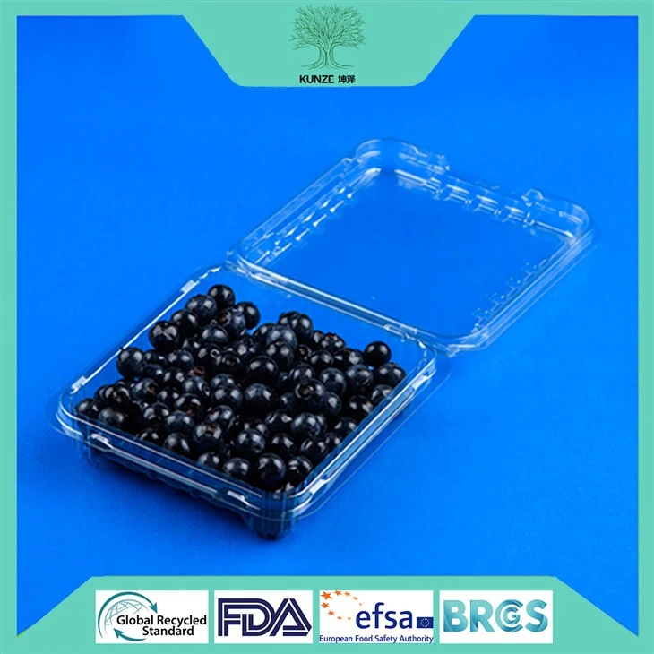 Blueberry Clamshell Packaging