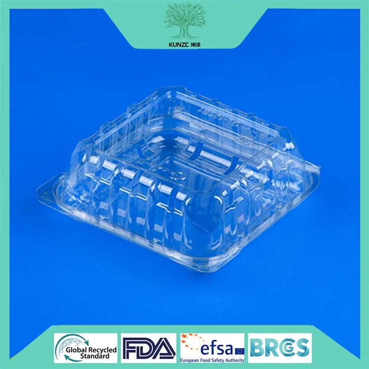 Blueberry Clamshell Packaging