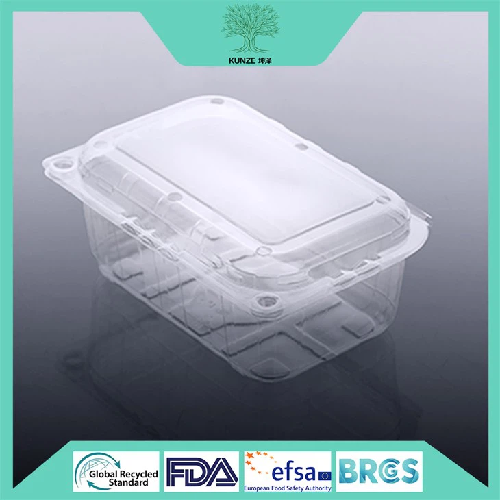 Environmentally Friendly Plastic