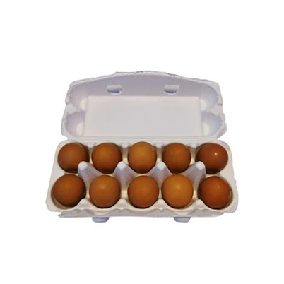 10 Baki Telur