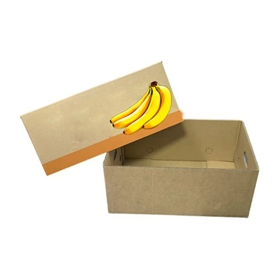 Kotak Karton Pisang