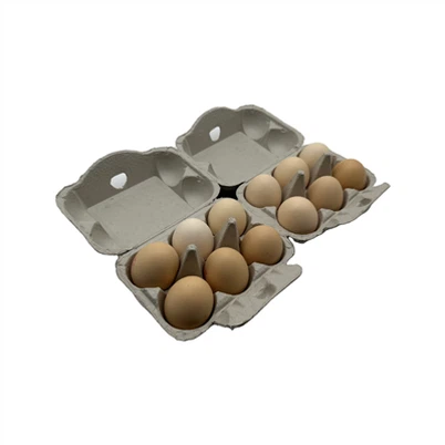 Kotak telur kardus