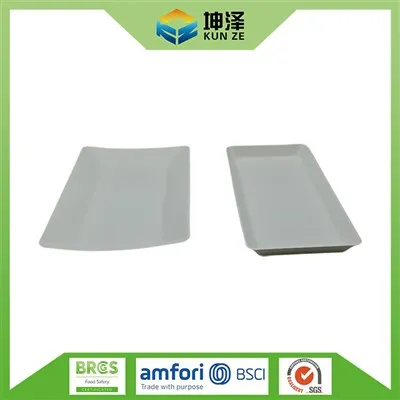 Piring Bagasse Persegi Panjang